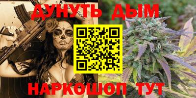 индика Жуковский