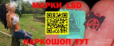 индика Жуковский