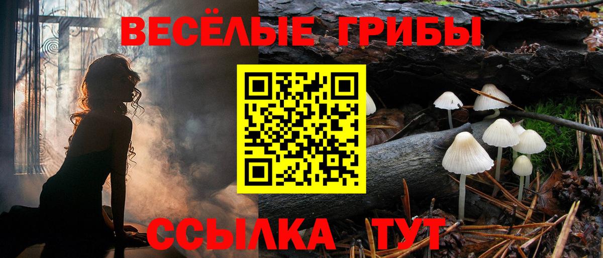 Псилоцибиновые грибы Magic Shrooms Менделеевск